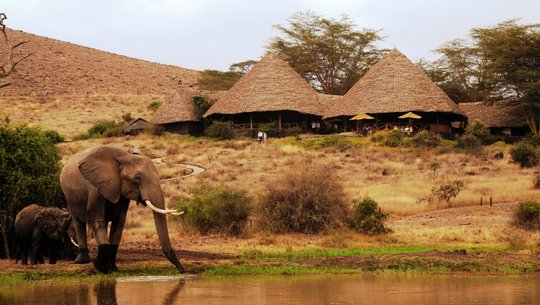 Tortilis Camp Amboseli
