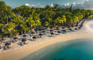 The Royal Palm Beachcomber