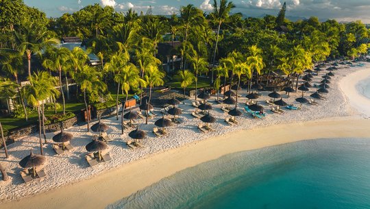 The Royal Palm Beachcomber