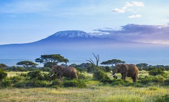 Sky Safari Tanzania