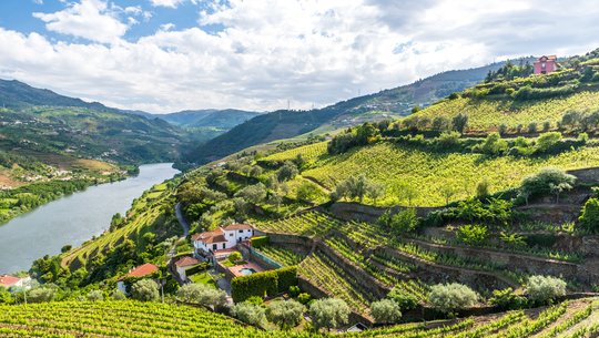 Luksus w dolinie rzeki Douro