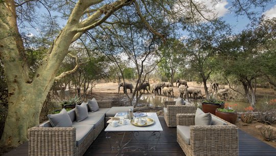 &Beyond Ngala Safari Lodge