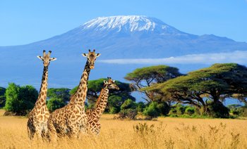 Sky Safari Kenia