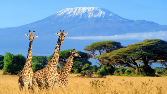 Sky Safari Kenia