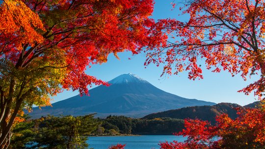 Japonia