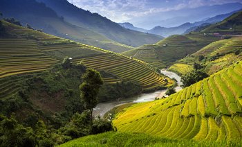 Ekscytujący Wietnam Południowy
